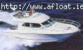 Prestige 36