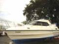 Birchwood 31