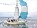 Hunter Horizon 30