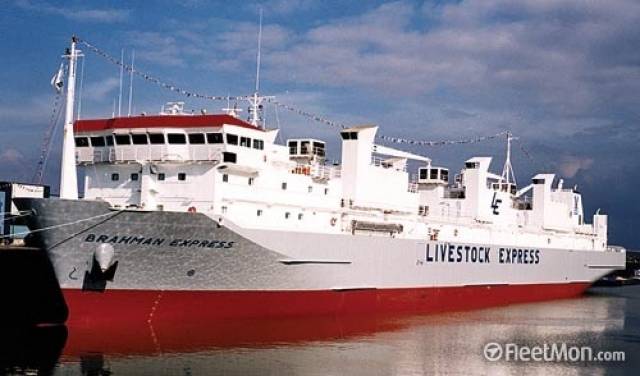 Operating a new Ireland-Turkey export livestock service, the cattleship Brahman Express (loaded with 3,000 weanlings) was monitored by Afloat heading through the Irish Sea this week