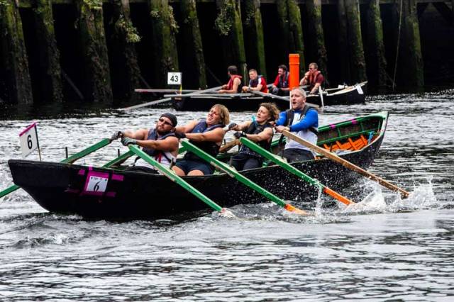 Currach racing at the Cork Harbour Festival