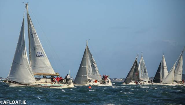 Breezy conditions for a race in last year's DBSC Turkey Shoot Series on Dublin Bay
