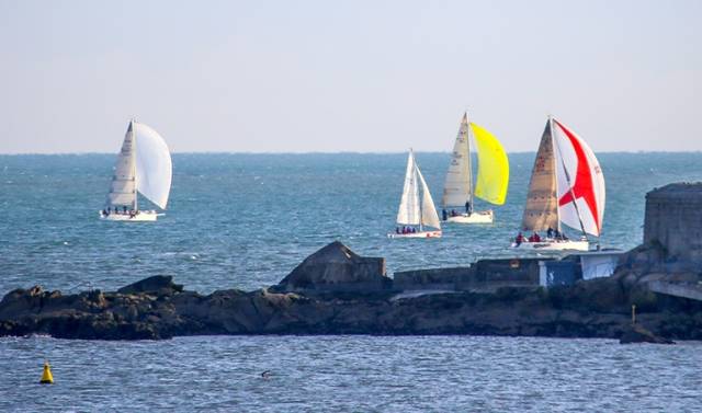 A section of the 74–boat DBSC Turkey Shoot fleet competing in ideal conditions on Scotsman's Bay last Sunday