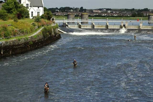 Angling at Galway city’s Salmon Weir could be threatened by a new draft bye-law