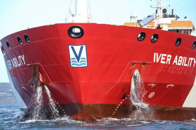 Iver Ability – a 'reaction' onboard the Asphalt/Bitumen Tanker led to its long term anchorage on Dublin Bay from August 2016 to January 2017