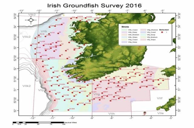 Marine Notice: Annual Groundfish Survey Off South & West Coasts