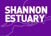 Shannon Estuary News