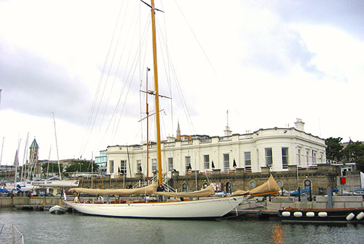 gull11a.jpg