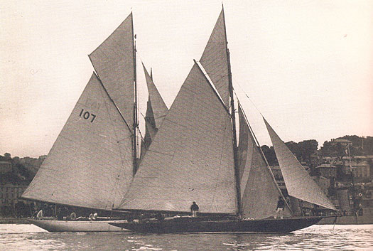 gull12.jpg