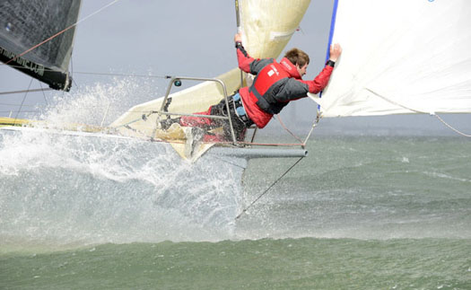 gull13.jpg