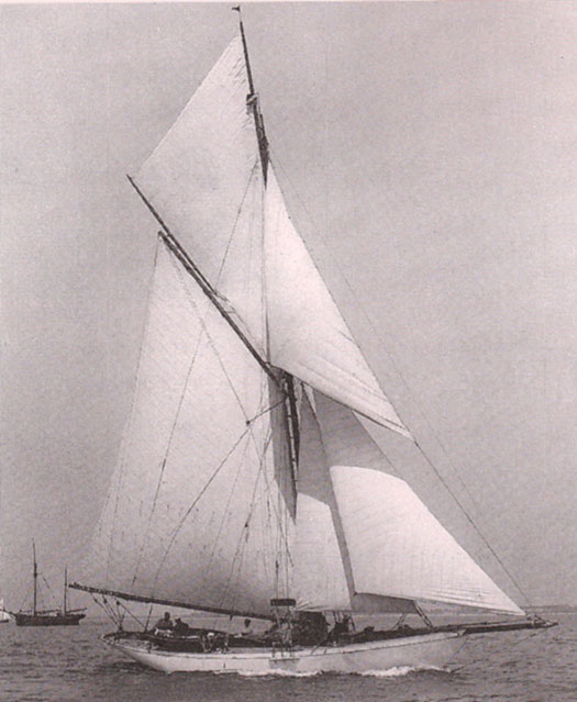 gull9_1.jpg