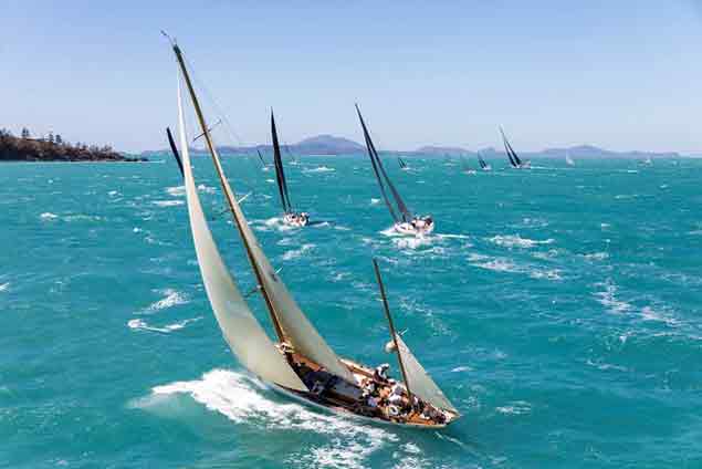 dorade sailing7