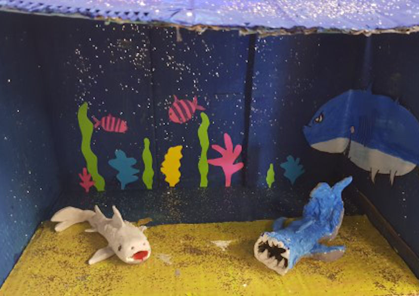 Shark diorama by pupils at St Patrick’s NS (Photo: Padraic Creedon)