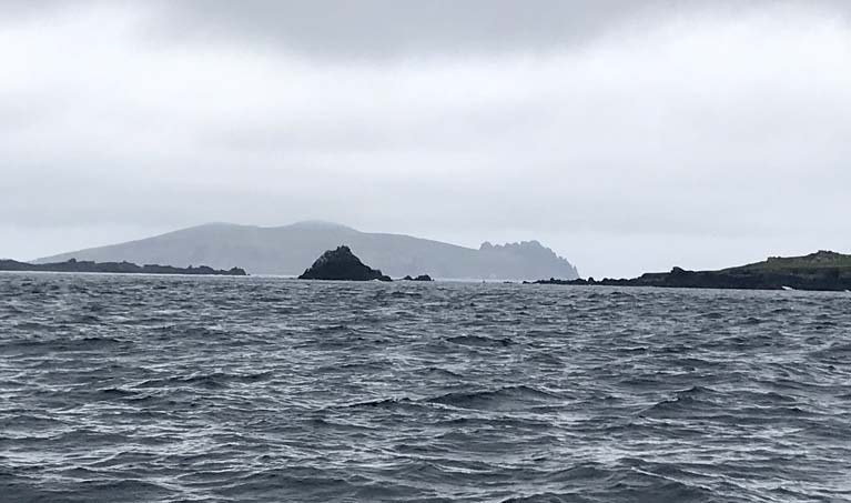 samphire island