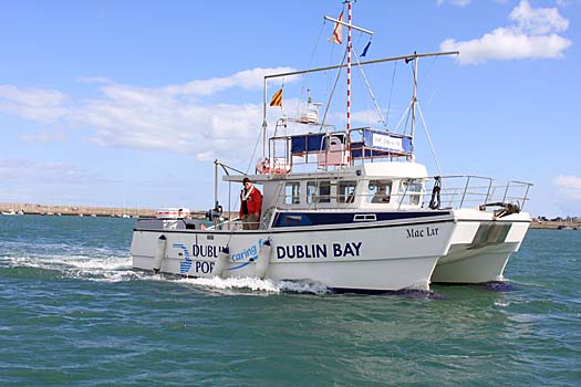 maclirdublinbay 2