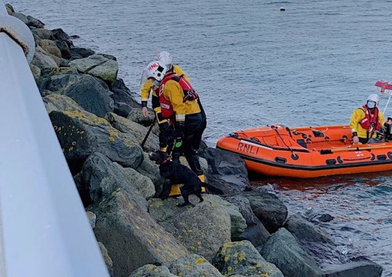 Dun Laoghaire RNLI came to the rescue of a dog that slipped on the Harbour's marina breakwater