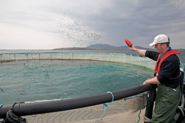 New Marine Research Cluster For Connemara To Focus On Aquaculture Research