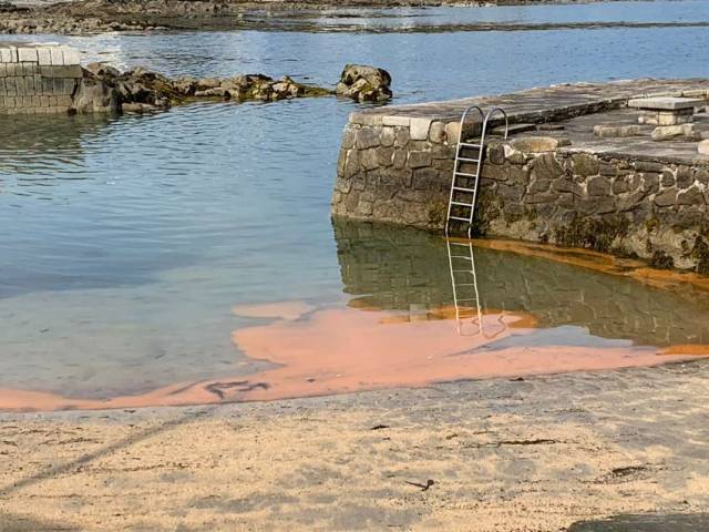 Residue from what DLRCoCo has now confirmed as a bloom of Noctiluca scintillans washes up at Sandycove on Tuesday morning 25 June