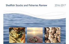 Shellfish Stock Review Warns Over ‘Unexpected Changes’ In Some Species Numbers