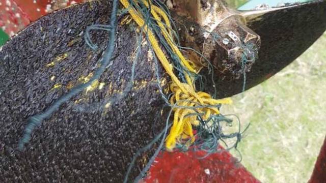 Fishing nets caught around a propellor. Scroll down for vidoe
