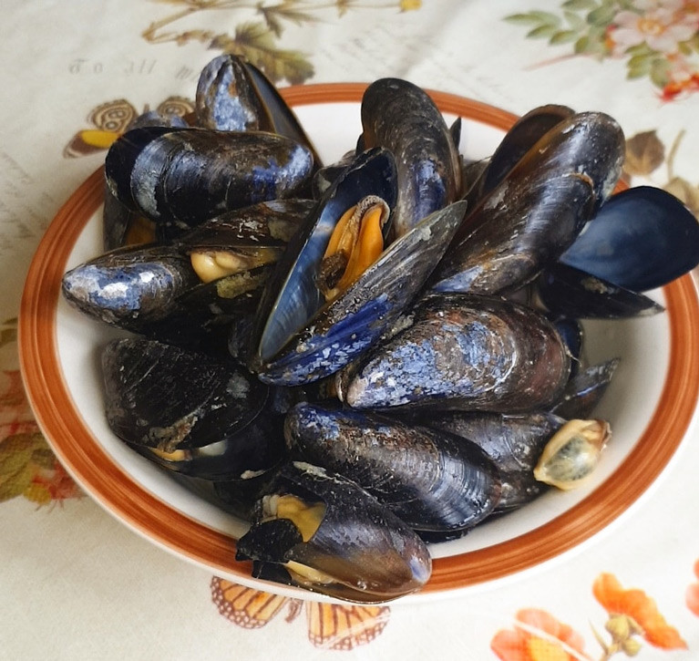 Local produce from Mulroy Bay Mussels. The County Donegal firm were awarded €75,900 in the Sustainable Aquaculture Scheme to invest in new handling equipment