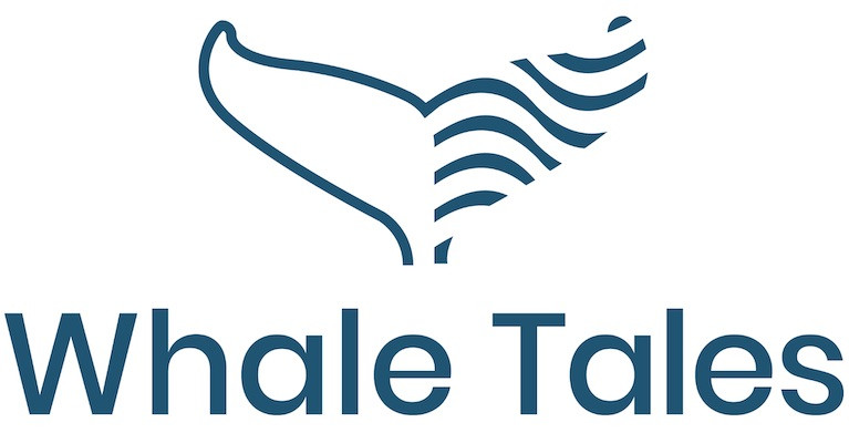 WhaleTales”  takes place today