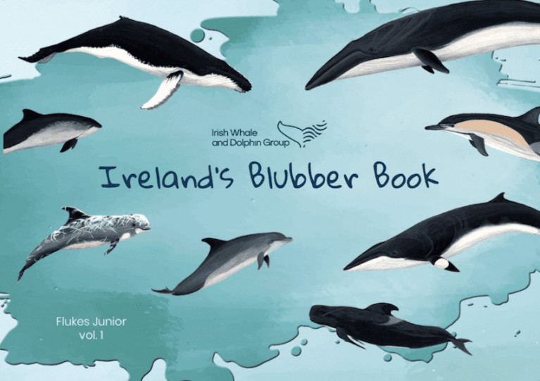 ‘Ireland’s Blubber Book’ — A New Educational Resource for Young & Aspiring Marine Biologists