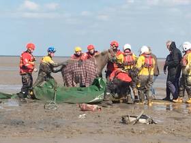 Hoylake RNLI volunteers and other emergency services worked together to free the trapped horse on the Wirral coast