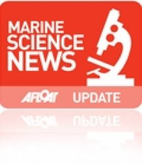Irish Marine Scientists Receive More Recognition