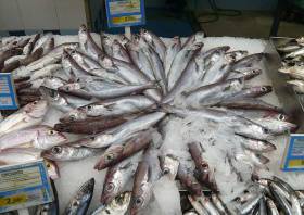 Blue whiting for sale in Spain
