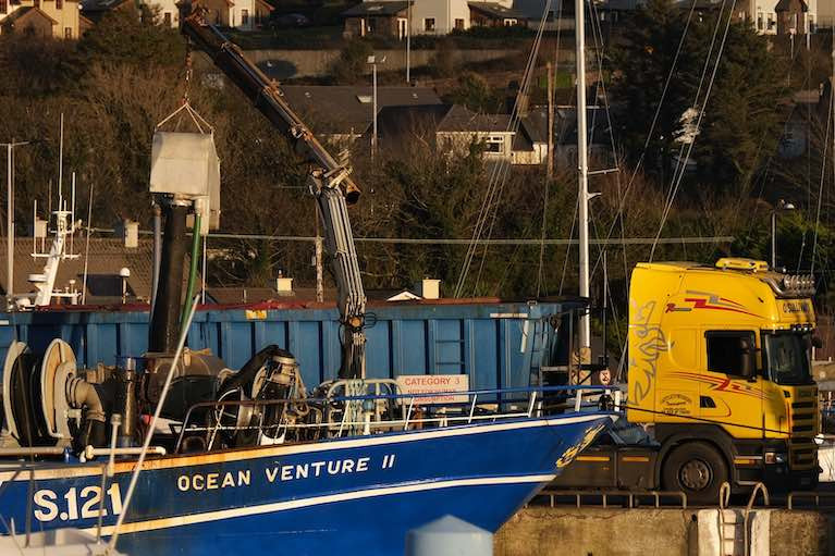 Irish vessel Ocean Venture II landing into Dingle harbour, Co Kerry, where large quantities of warm water anchovies have appeared in the past week