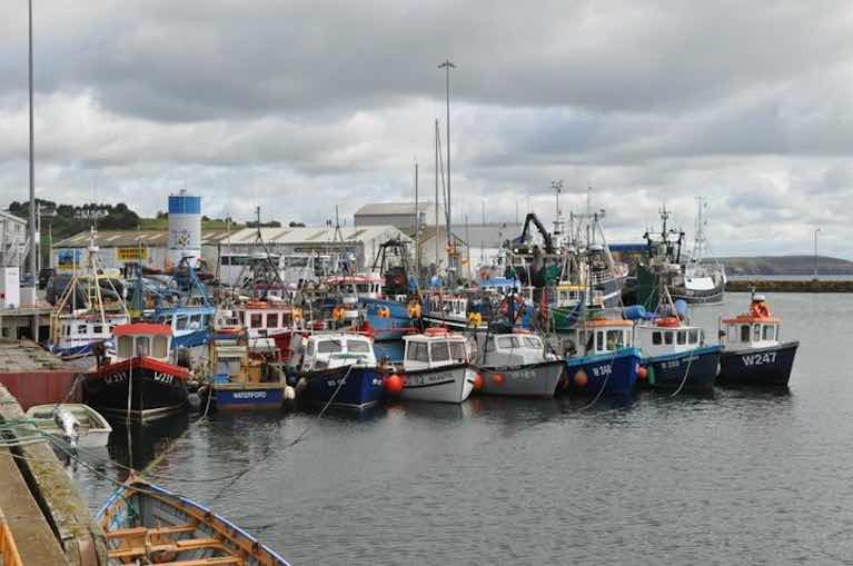 The National Inshore Fisherman's Association fleet (NIFA) is one of 15 groups making representations to the take the “steps necessary” to reinstate the ban and protect inshore stocks