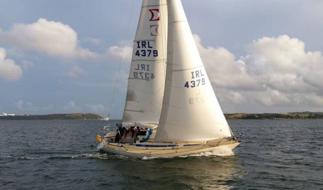 Tom MacSweeney's Scribbler white sail racing in Cork Harbour