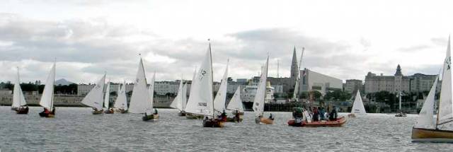 Water Wags prepare for in harbour racing at Dun Laoghaire