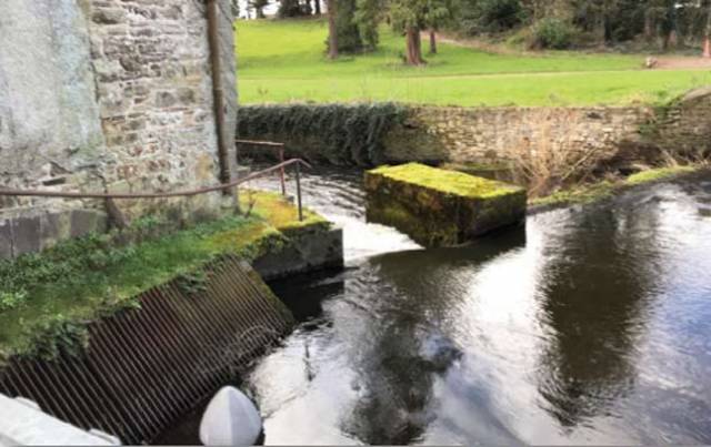 The weir where the capsize occurred on the river Suir in Cahir, Co Tipperary