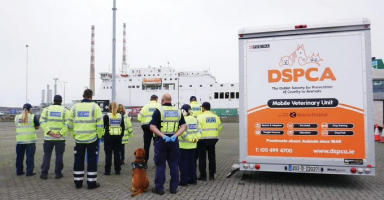 Operation Toto is focusing on passengers moving through Dublin Port where Afloat adds at the main ferry terminal (No.1) is parked a DSPCA Mobile Veterinary Unit. 