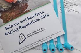 Salmon &amp; Sea Trout Anglers Reminded To Submit 2018 Logbook &amp; Gill Tags