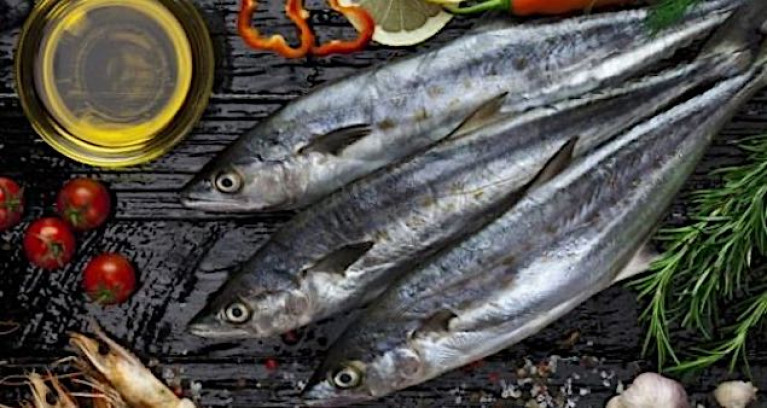 Mackerel is a valuable export fish species - Minister for Marine Charlie McConalogue welcomed the allocation of €151m in the budget for the seafood industry