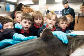 Rang 2 children from Scoil Shéamais Naofa in Bearna get up close with the skin of a tope shark