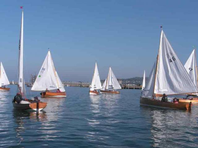 Windless Water Wags in Dun Laoghaire Harbour