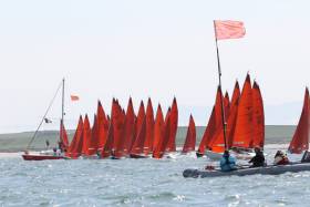 One of Tuesday&#039;s starts for the 43-boat Squib fleet
