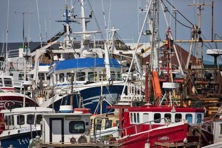 File image of the fishing fleet in Howth, Co Dublin