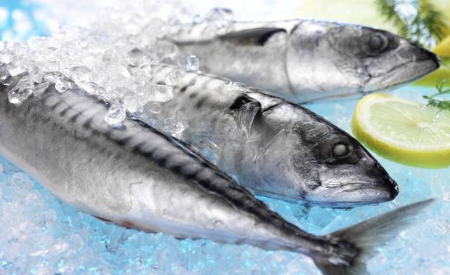 Mackerel is Ireland’s single most valuable fishery