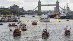 BREXIT: The Thames has been the scene of the most colourful and unusual exchanges of the referendum campaign so far. Note the larger trawlers occupying where RMS St. Helena recently moored next to HMS Belfast in the Pool of London