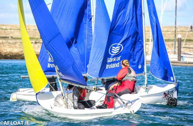 Dinghy Team Racing is thriving in the college scene with some twenty-seven teams competing regularly in their four provincial events and the Irish Universities Championships