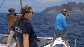 Cape Verde Humpback Whales Doc On TG4 This Weekend