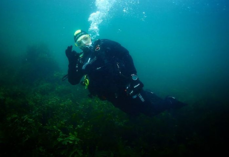 Diving in Strangford Lough