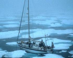 &#039;Dodo’s Delight&#039; caught in the ice pack, Bylot Island in 2001