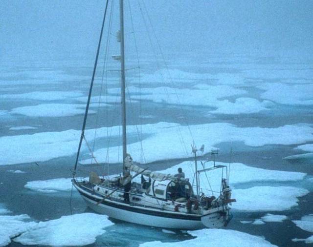 'Dodo’s Delight' caught in the ice pack, Bylot Island in 2001