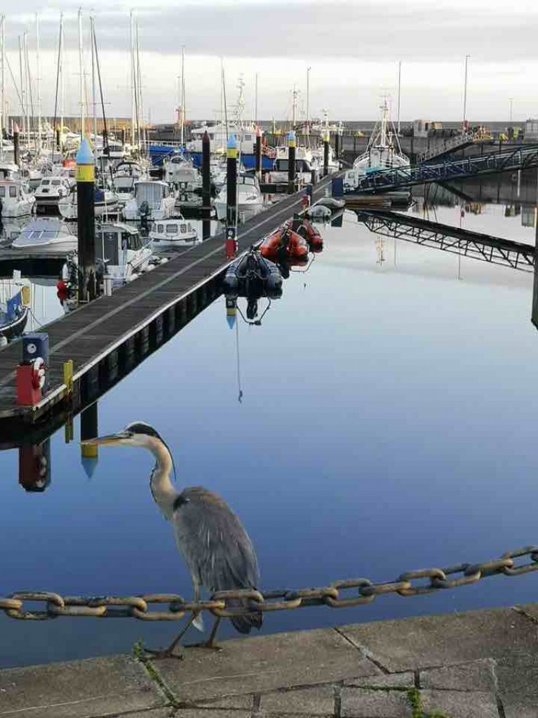 Bangor Marina on Balfast Lough must close from December 26 under new rules from the Northern Ireland Executive
